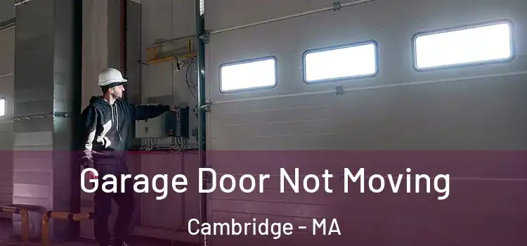  Garage Door Not Moving Cambridge - MA