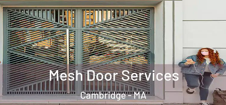  Mesh Door Services Cambridge - MA